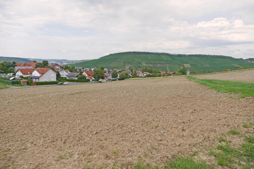 Blick auf Gerlachsheim