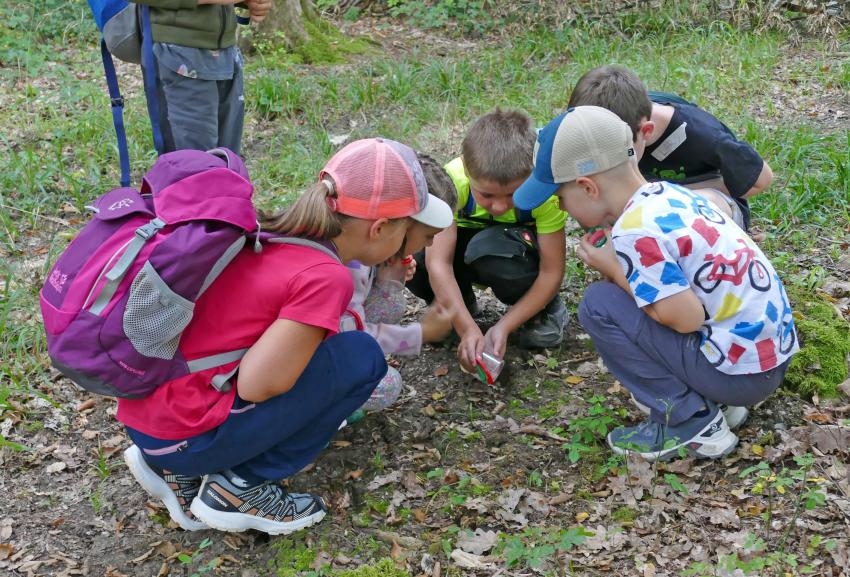 Kinder schauen am Waldboden
