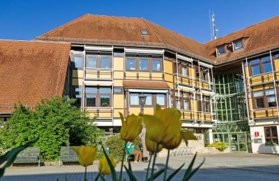 Rathaus in Lauda im Sommer