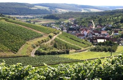 Blick auf Beckstein