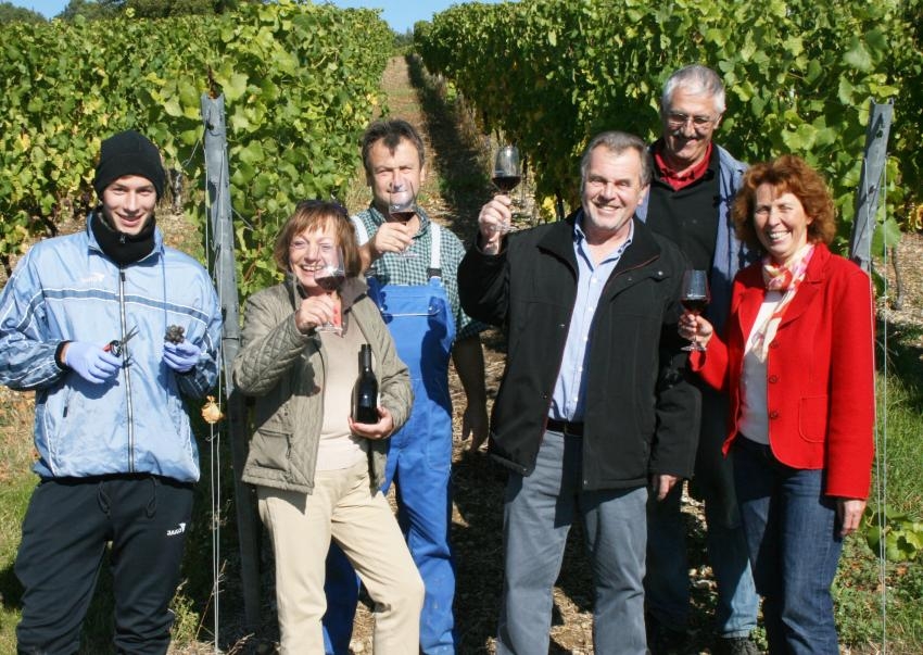 Anstoßen im Weinberg