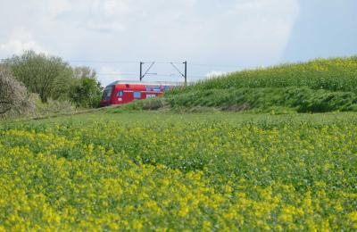 Eisenbahn fährt durch Rapsfeld