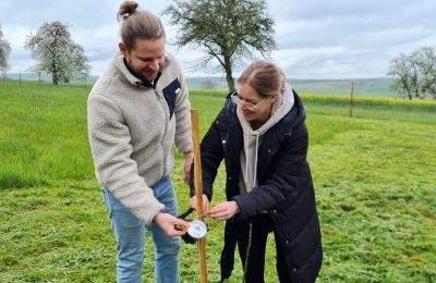 Baum pflanzen im Hochzeitswald