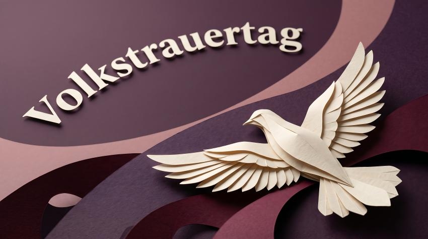 Weiße Taube auf brauem Hintergrund und dem Schriftzug Volkstrauertag